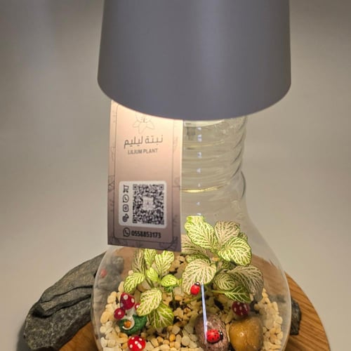 ابجورة نبتة فيتونيا بشكل لمبة