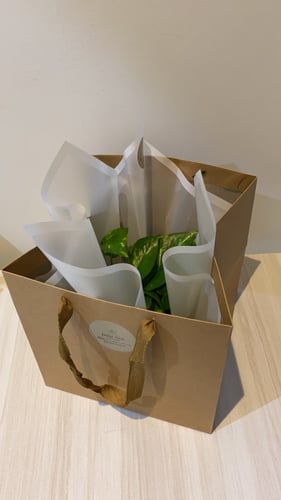 تغليف أبيض نايلون سميك