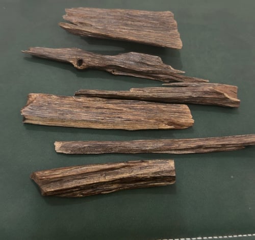 للمساجد فقط