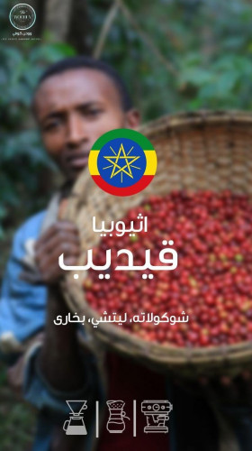 حبوب القهوة أثيوبيا قيدب من وودن 250ج