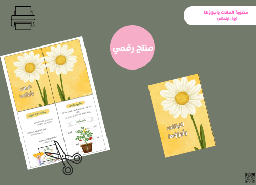 مطوية النباتات وأجزاؤها- اول ابتدائي pdf