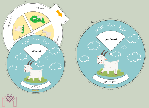 مطوية (دورة حياة الماعز) Pdfجاهزه للطباعه