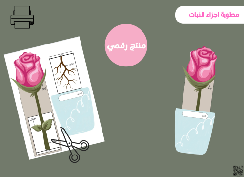 مطوية اجزاء النبات- ثالث ابتدائي pdf