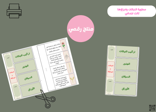 مطوية النباتات واجزاؤها -ثالث ابتدائي pdf