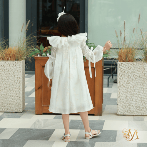 فستان أميره