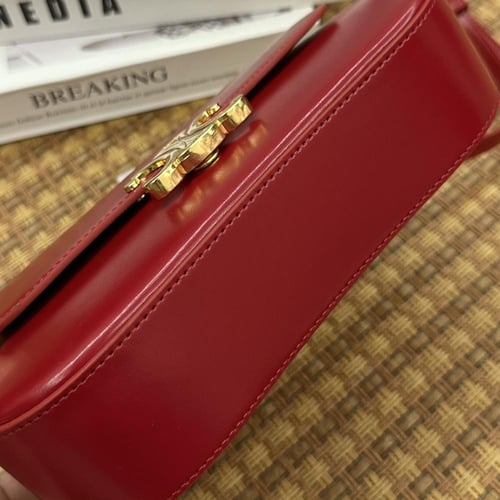 حقيبة سيلين جلد