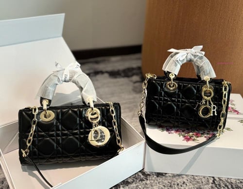 حقيبة ديور عدة الوان