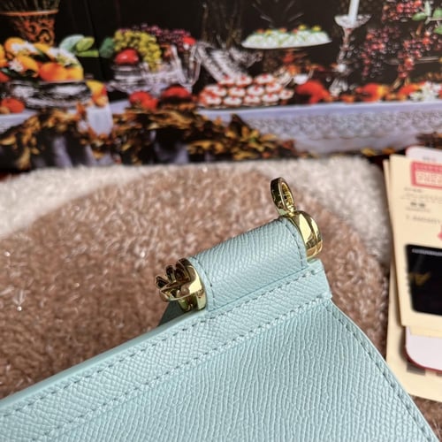 حقيبة سيسلي من D&G