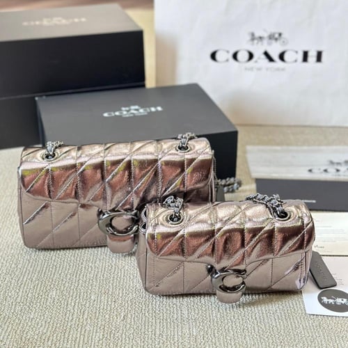 كوتش تابي فضي