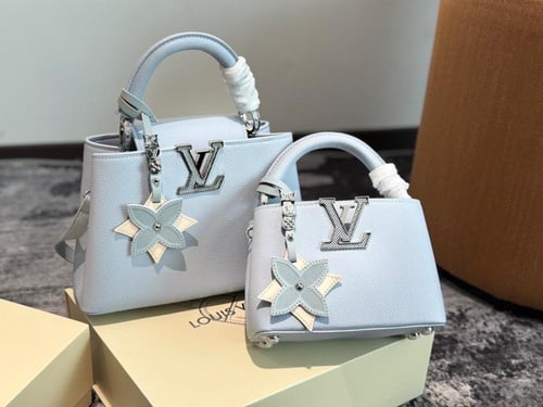 حقيبة لويس فيتون عدة الوان