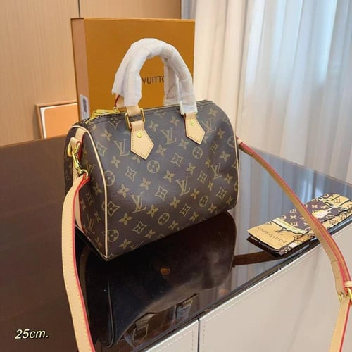 حقيبة LV مونوغرام سبيدي