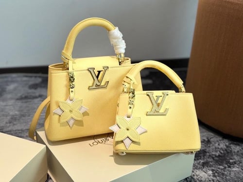 حقيبة لويس فيتون عدة الوان