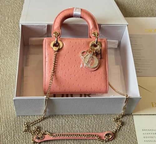 حقيبة Dior | عدة الوان