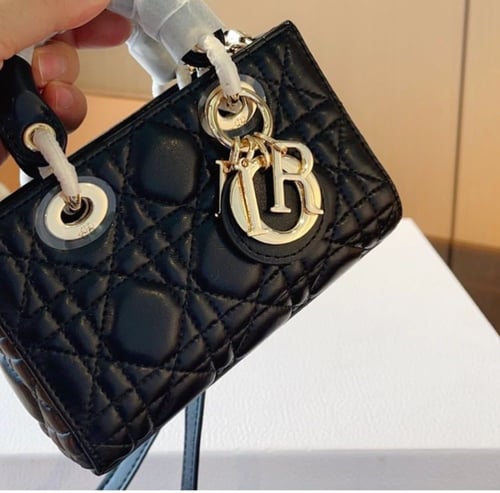 حقيبة ديور | لونين