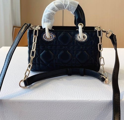 حقيبة ديور | لونين