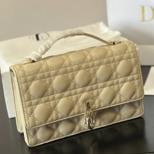 حقيبة ديور بعده الوان