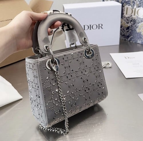 شنطه ديور لونين