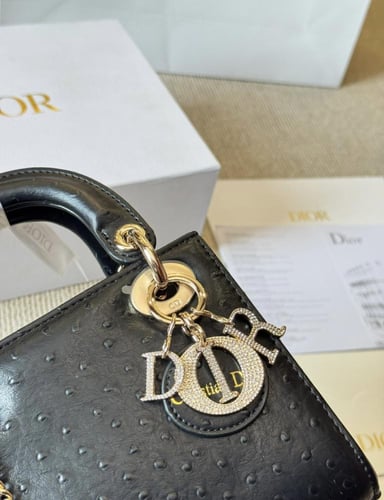 حقيبة Dior | عدة الوان