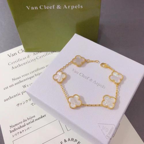 اسورة فان كليف ماستر كوالتي