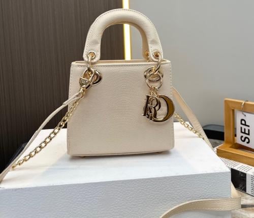 حقيبة ديور dior / عدة الوان