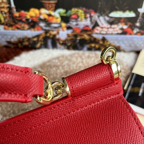 حقيبة سيسلي من D&G