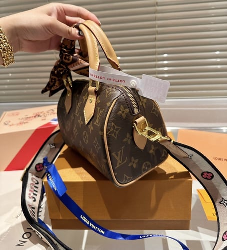 حقيبة LV مونوغرام سبيدي