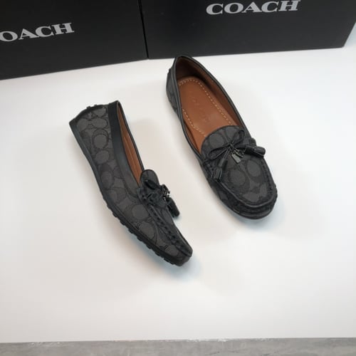 فلات كوتش 3 الوان