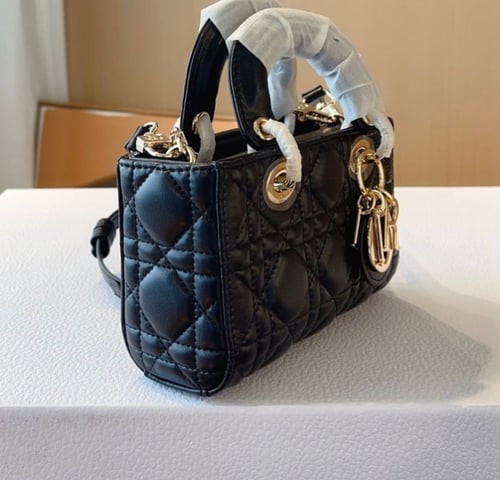 حقيبة ديور | لونين