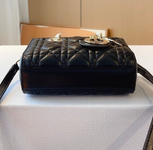 حقيبة ديور | لونين