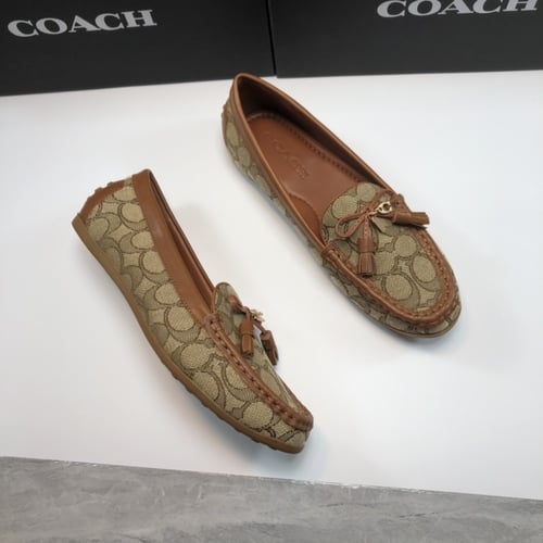 فلات كوتش 3 الوان