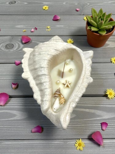 شمعة الصدفه رقم ( ١ )