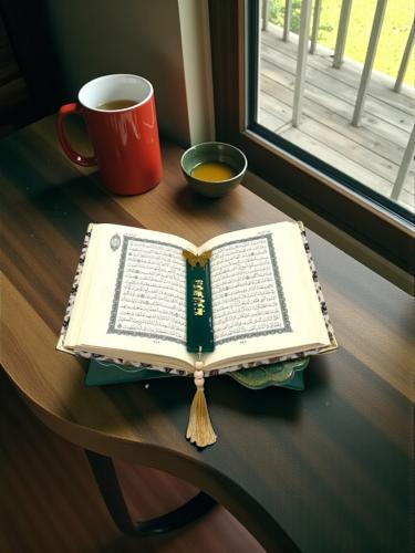 حامل مصحف الفراشه