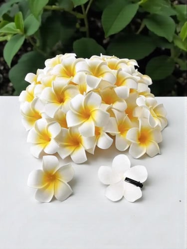 توزيعات مشابك شعر ثلاثية الابعاد