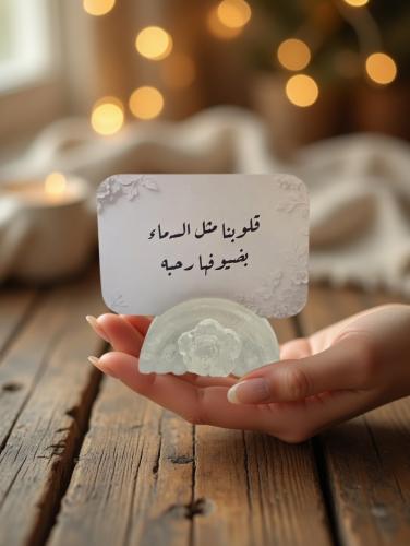 حامل كروت ريزن