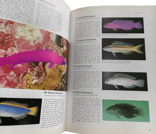 أسماك البحر الأحمر (صور نادرة) - مستعمل -