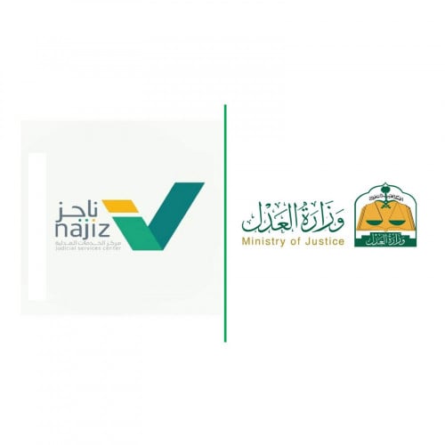 طلب إصدار أمر حضانه