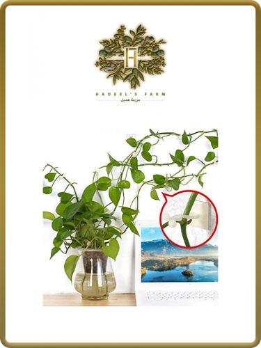 11 حامل للمعلقات