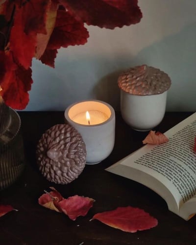 قالب سيليكون - علبة البلوط