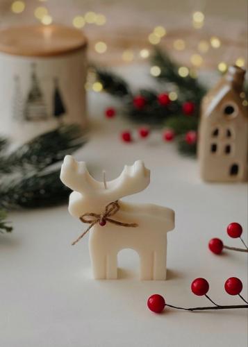 قالب سيلكون - غزاله