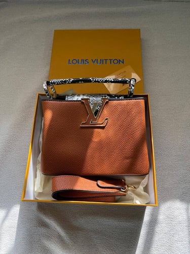 شنط ماركة لويس فيتون