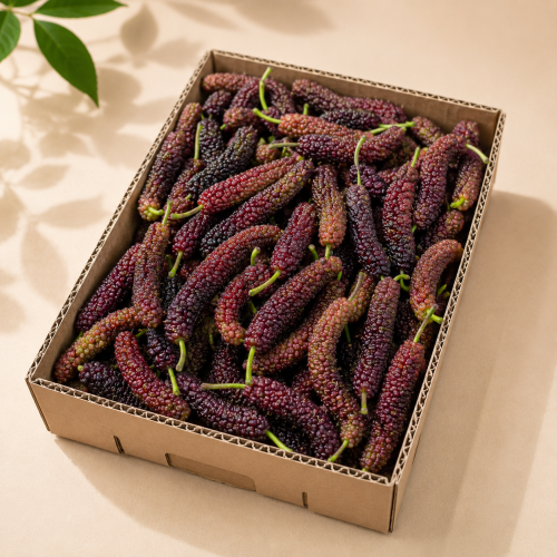 توت (نوع أبو حنش ) حالي