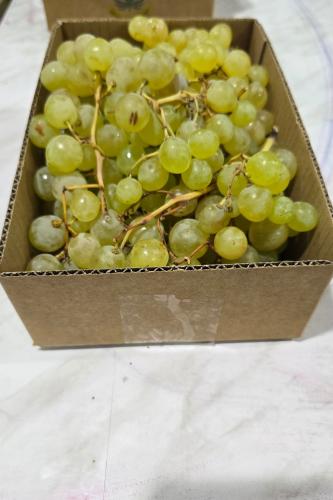 عنب طائفي 1 كيلو