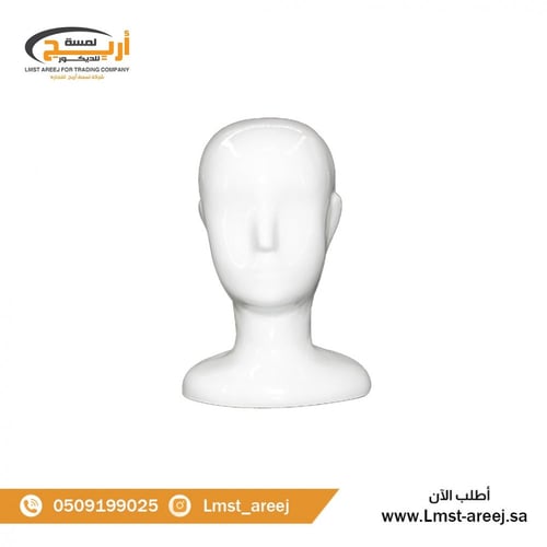 مجسم راس فايبر