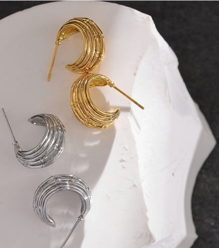 Stainless steel earrings
