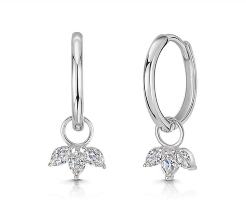 Sterling silver earrings