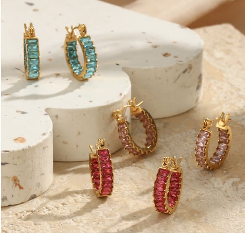 Stainless steel earrings