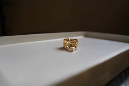 Resizable stainless steel ring