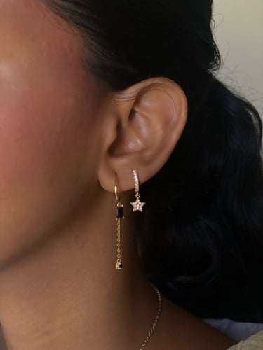 Stainless steel earrings