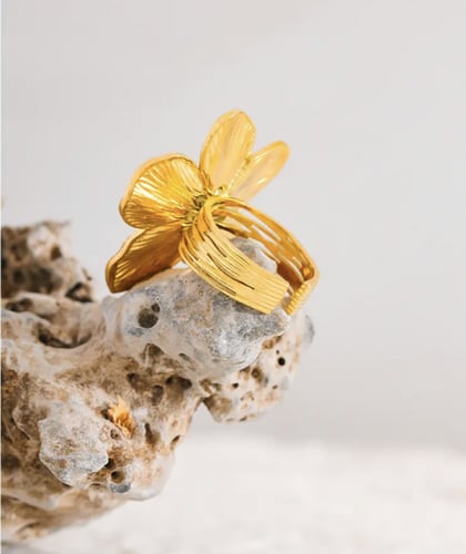 Stainless steel ring