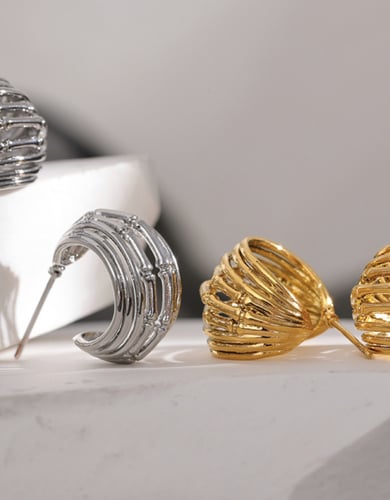 Stainless steel earrings